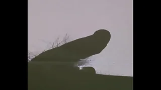 1124 cum porn videos